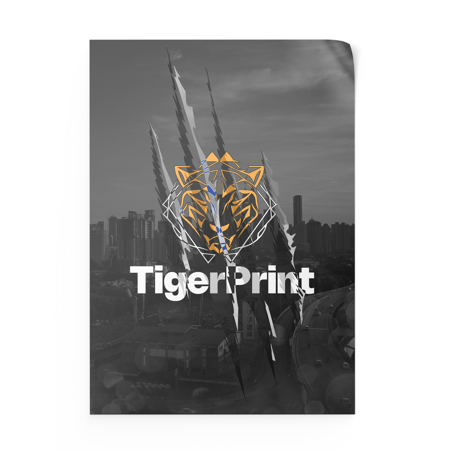 Posters (8pt)