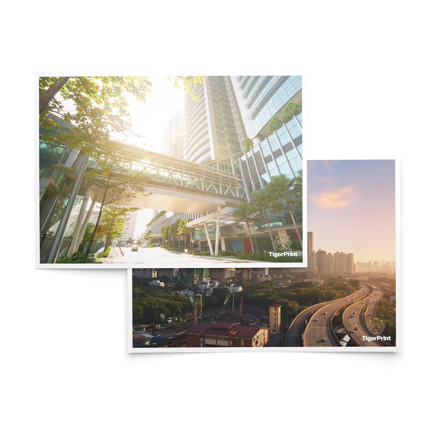 Postcards (10pt)